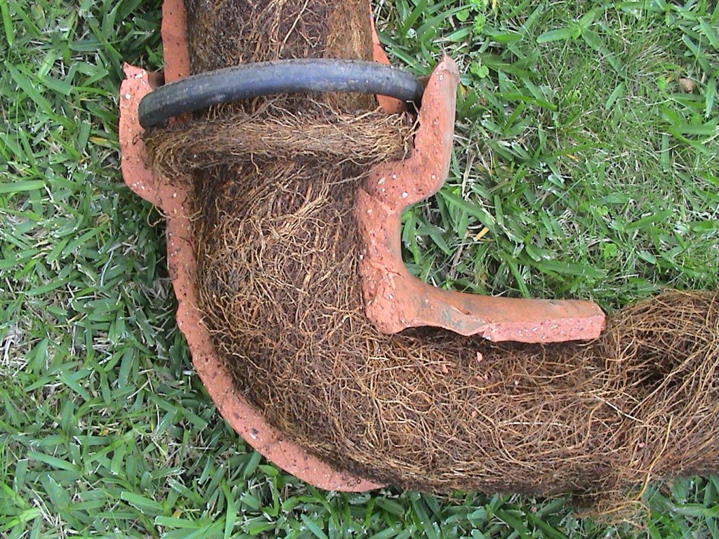 Ceramic pipe clogged with roots
