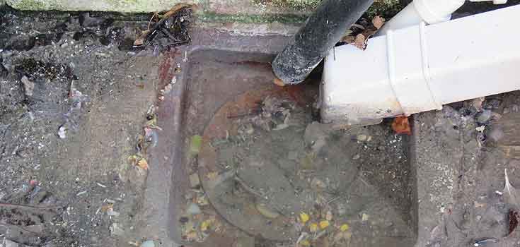 Blocked exterior drain